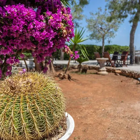 Massimo לינה וארוחת בוקר 3*