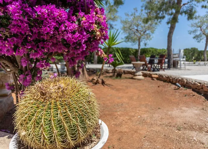 Massimo Couette-café 3*